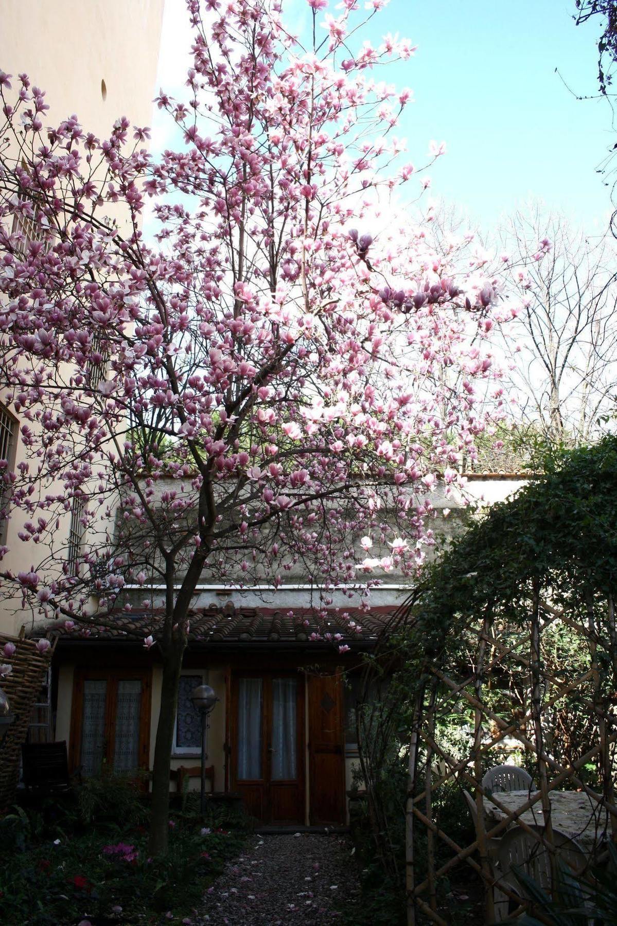 Affittacamere Casa Corsi Florence Exterior photo